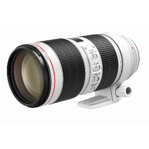 Canon_Canon EF70-200mm f/2.8L IS III USM_z/۾/DV>