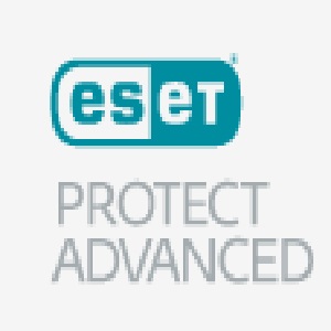 VERSION2xWG_ESET Protect Advanced p~_rwn